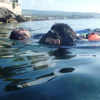 Armonie ne lâche rien 