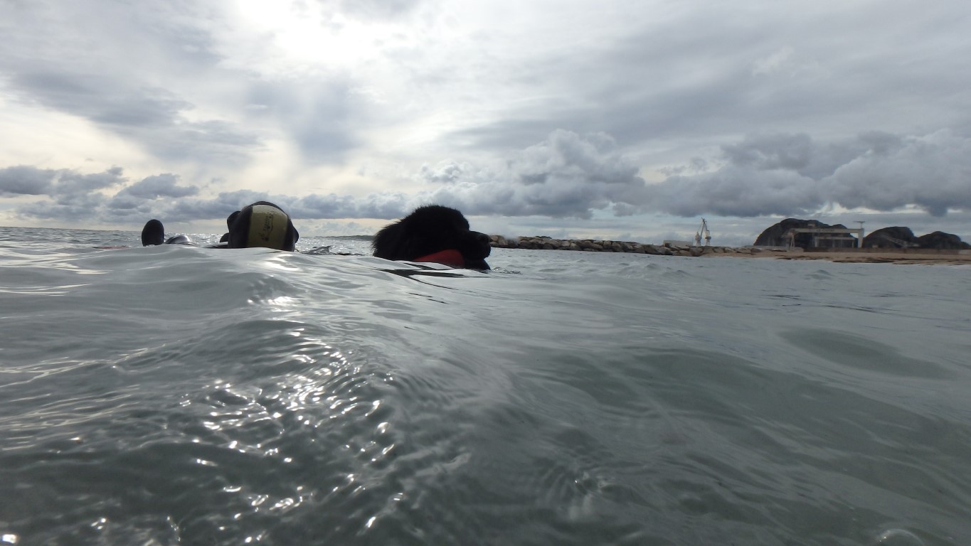 Retour dans les vagues pour Haven