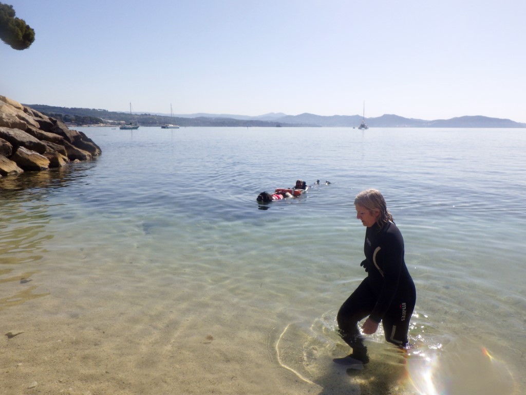 Rapport de victime maiko